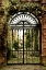 Picture of VINES AND IRON GATE