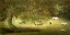 Picture of FIELD OF SHEEP