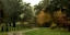 Picture of LONG AND WINDING ROAD
