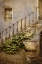 Picture of STAIRWAY AT THE VINEYARD