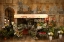 Picture of FLOWER SHOPPE BARCELONA