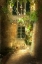 Picture of FRENCH WINDOW