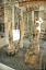 Picture of REFLECTIONS