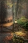 Picture of AUTUMN GATE II