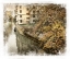 Picture of CAMBRIDGE CANAL SERIES II WATERCOLOR