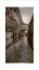 Picture of BRIDGE OF SIGHS VENEZIA PLATINUM