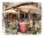 Picture of MOROCCAN CAFE
