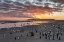 Picture of SUNRISE AT SEA LION