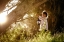 Picture of THE GIRL WITH THE BLUE LANTERN