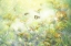 Picture of MY WONDERFUL WORLD