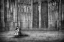 Picture of THE CELLIST