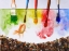 Picture of COLORED LUNCH