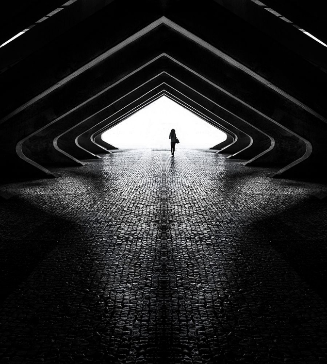 Picture of INTO THE LIGHT