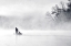 Picture of MORNING FISHING 5