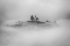 Picture of ON THE TOP OF THE HILL