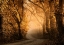 Picture of TUSCAN DREAM ALLEY III