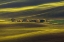 Picture of THREADS OF LIGHT