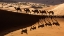 Picture of BADAIN JARAN DESERT-1