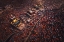 Picture of THE KINGDOM OF BUDDHISM