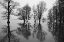 Picture of FLOOD