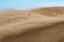 Picture of WANDERER