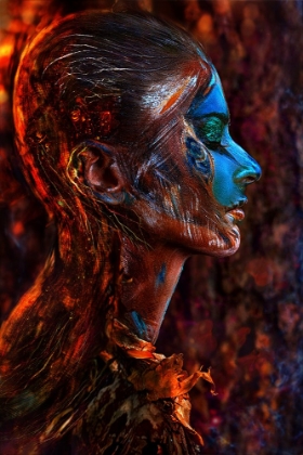 Picture of SPIRIT OF THE WOOD