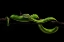Picture of VIPER ONE