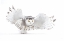 Picture of SNOWY OWL - JAZZ WINGS