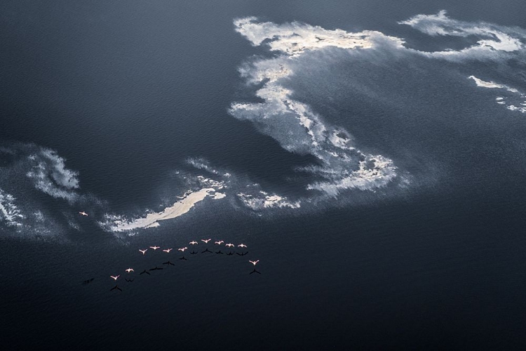 Picture of CHASING THE WAVES