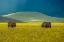 Picture of UNTITLED