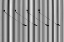 Picture of LINES AND SHADOWS