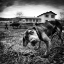 Picture of UNTITLED