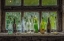 Picture of BOTTLES
