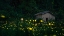 Picture of A LITTLE GIRL AND FIREFLY