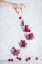 Picture of CHERRY ON TOP
