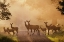 Picture of DEER ON PATH