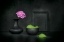 Picture of SPRING OFFERING