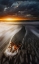 Picture of BEACHED AT SUNSET