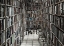 Picture of READING STUFF