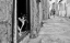 Picture of WHO IS IT?