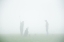 Picture of GOLFLESSON