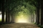 Picture of FOGGY MORNING
