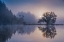 Picture of AUTUMN IMPRESSION