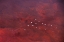 Picture of RED LAND (1)