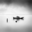 Picture of FISHERMAN AND THE CURIOUS BIRD