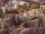 Picture of PAINTED DESERT