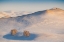 Picture of CAPPUCCINO LAND