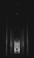 Picture of IN PERMANENT VOID