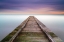 Picture of TOWARDS THE COLORS