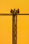 Picture of ACROBATICS
